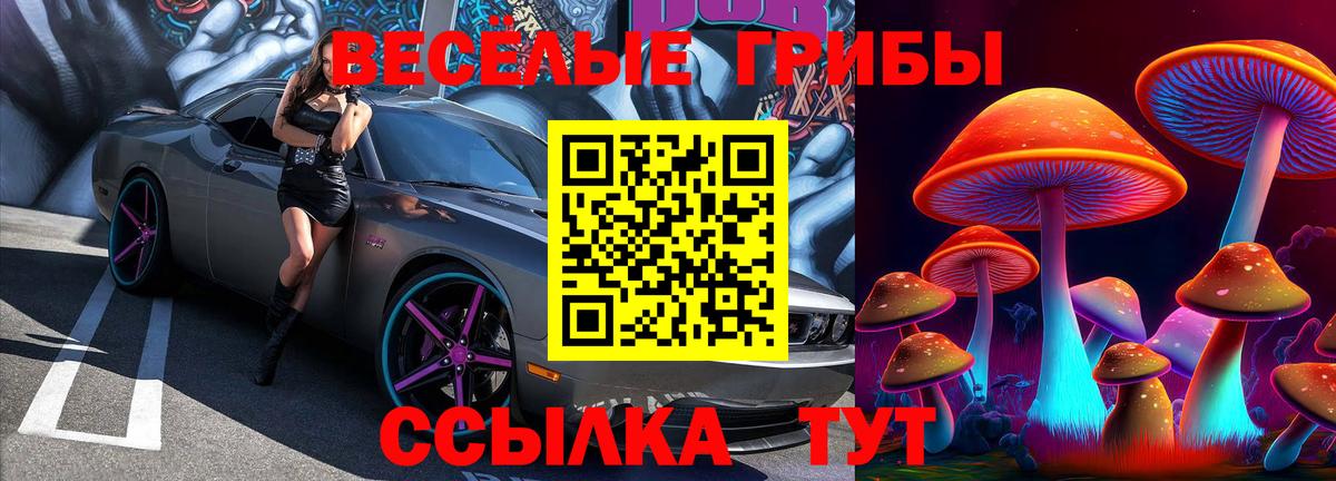 Курчалой  Галлюциногенные грибы MAGIC MUSHROOMS  Вход с VPN 